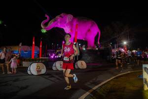 BIB: 
                            <button type="button" onclick="openModal(26552181)" class="btn btn-primary btn-sm float-right btn-popup" data-toggle="modal" data-target=".modal-high-quality">
                        <i class="fas fa-shopping-cart"></i> Add to Cart
                    </button>
                                            <button type="button" onclick="isThisMe(26552181, true)" class="btn btn-success btn-sm float-right btn-popup btn-isme hidden" data-toggle="tooltip" data-placement="bottom" title="นี่คือรูปของคุณใช่ไหม คลิกที่นี่เพื่อเอาเข้าอัลบั้ม">
                        <i class="fas fa-plus"></i> Add to album
                    </button>
                    <button type="button" onclick="isThisMe(26552181, false)" class="btn btn-warning btn-sm float-right btn-popup btn-isnotme hidden">
                        <i class="fas fa-ban"></i> Remove from album
                    </button>